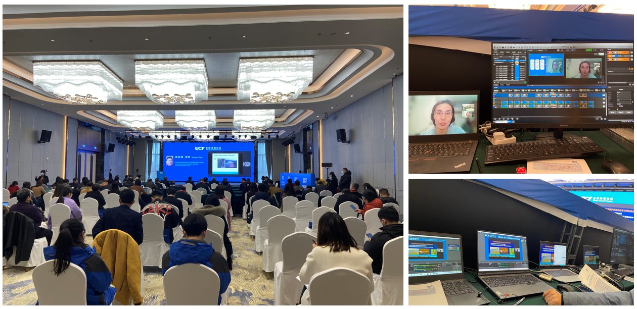 自建AI翻译平台的成本,究竟需要多少钱